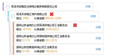 菏澤市定陶區(qū)光明電力服務(wù)有限責任公司信息概覽