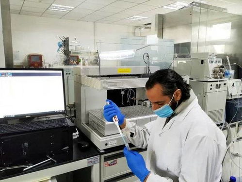 專業解碼 北京工商大學食品與健康學院概覽與投資咨詢服務洞察